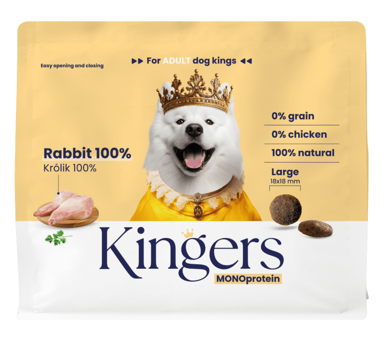kingers krolik large