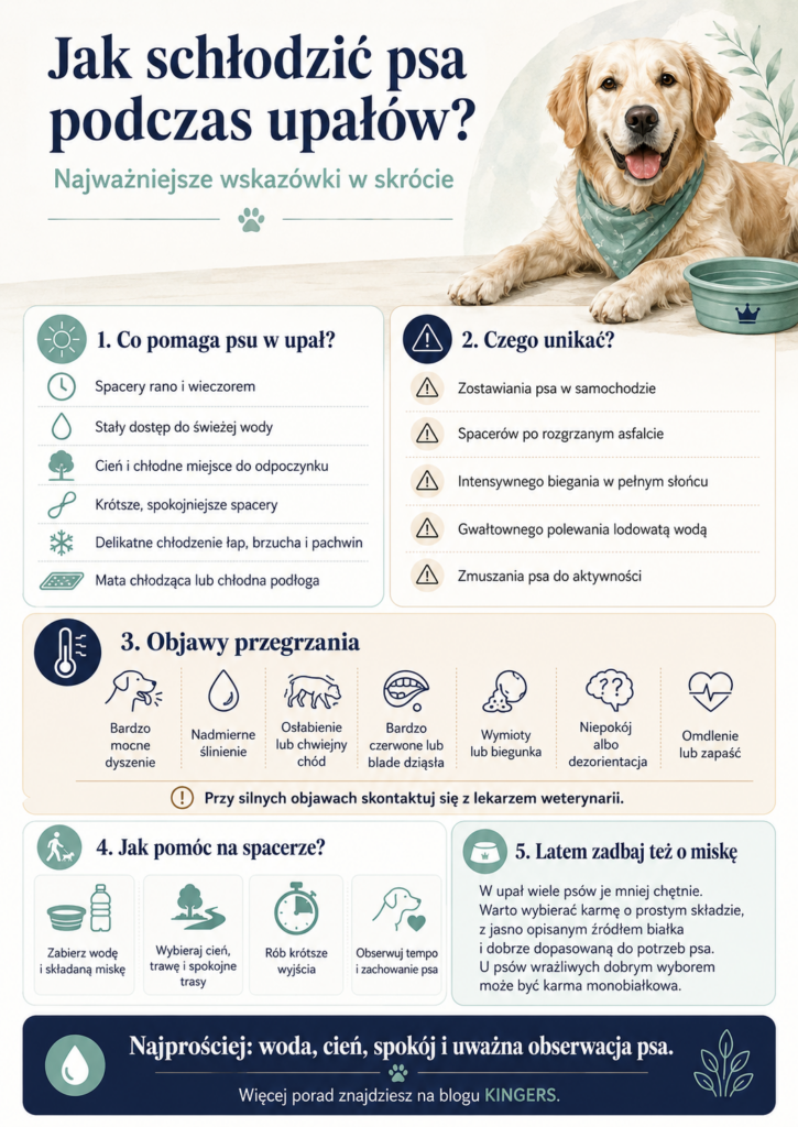 chatgpt image 25 cze 2026, 14 19 52