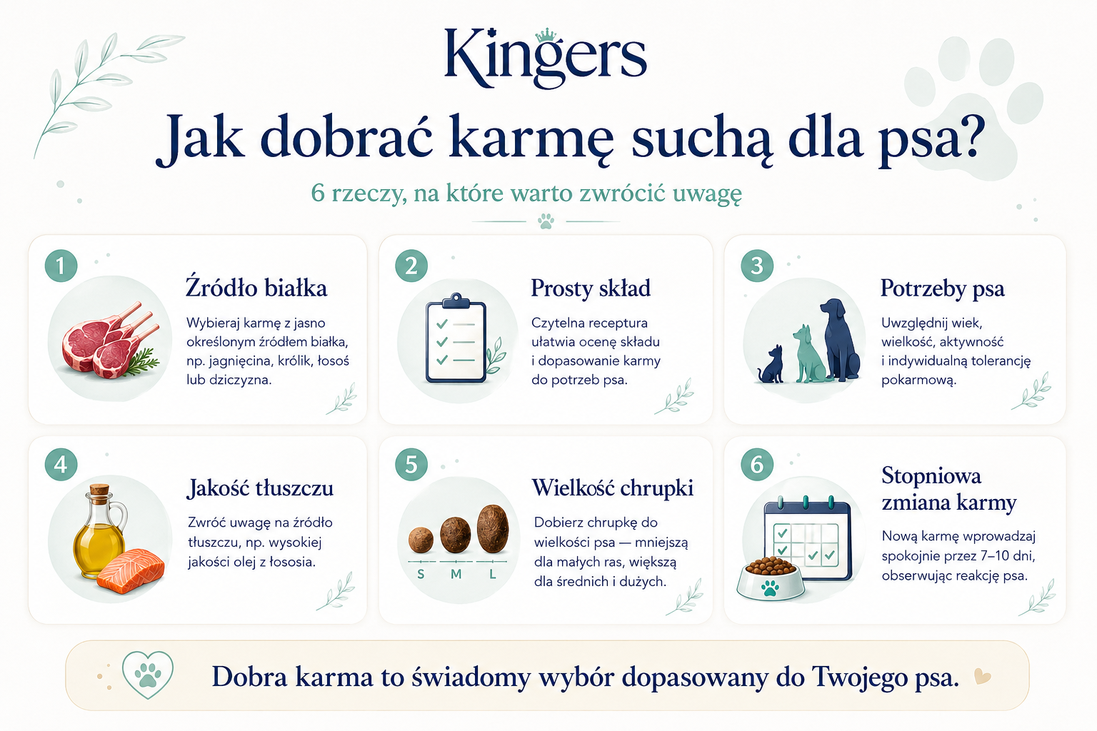 Infografika KINGERS wyjaśniająca, jak dobrać karmę suchą dla psa na podstawie źródła białka, prostego składu, potrzeb psa, jakości tłuszczu, wielkości chrupki i stopniowego wprowadzania karmy.