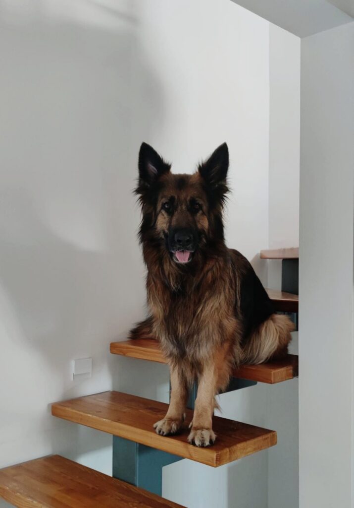 Bella