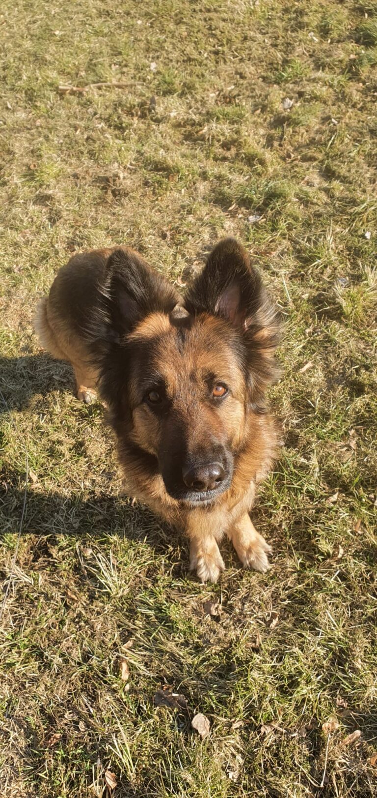 Bella