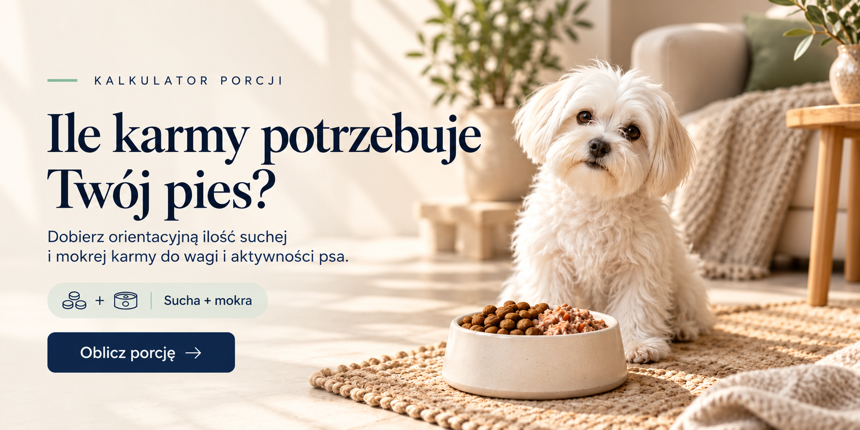 Kalkulator Zywienia Psa Kingers Poziom